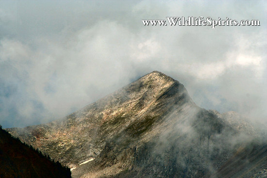 Click Picture to send as an  E-PostCard 64k 550x367